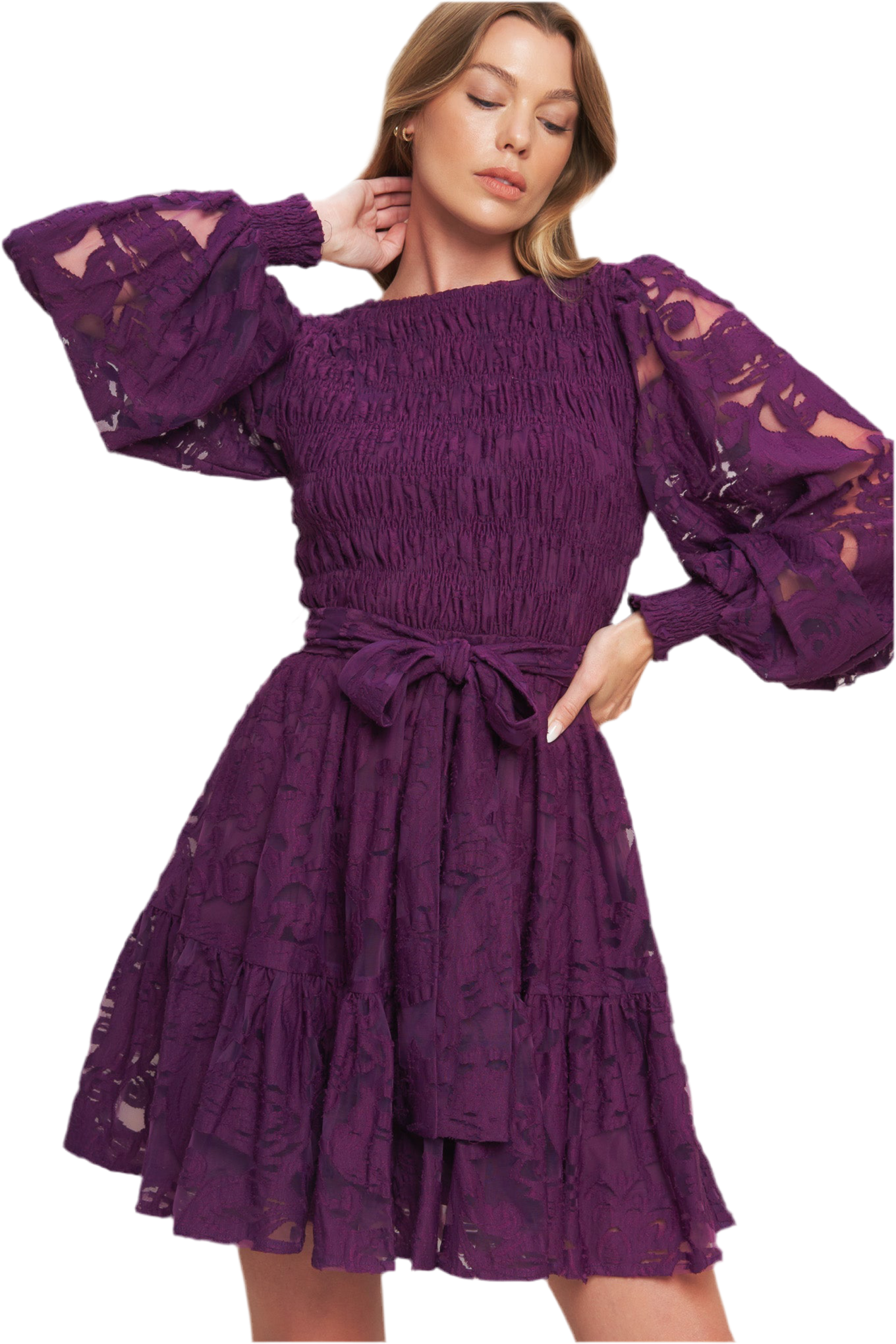 PASSION PLUM WOVEN LACE MINI DRESS